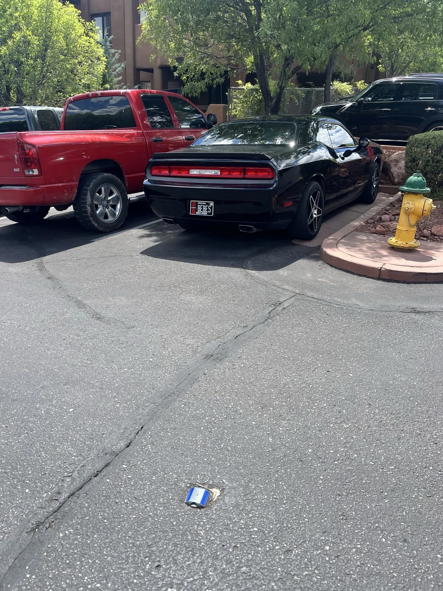 Spotted in the wild — plate “bebes”