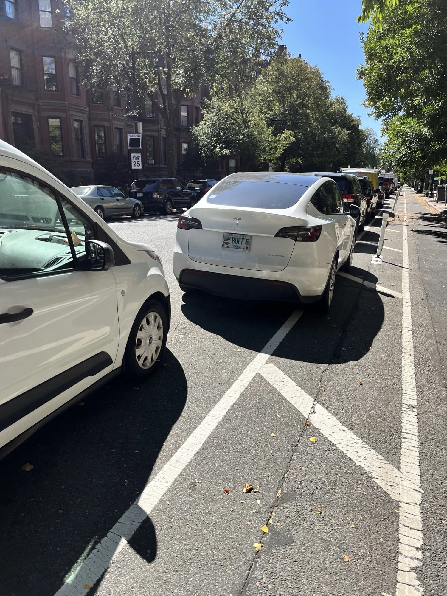 Spotted in the wild — plate “buff”